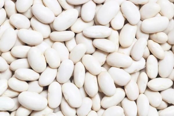 https://shp.aradbranding.com/قیمت خرید لوبیا سفید درشت عمده به صرفه و ارزان